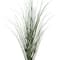 Tall Green Grass Stem by Ashland®
